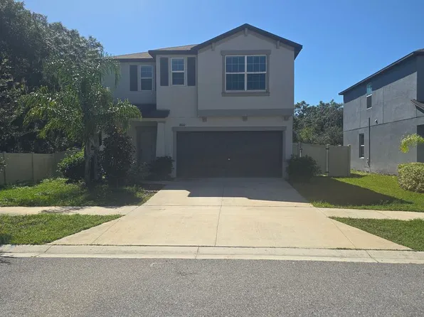 18010 Blissful Star Dr, Lutz, FL