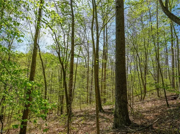 State Route 681, Londonderry, OH 45647