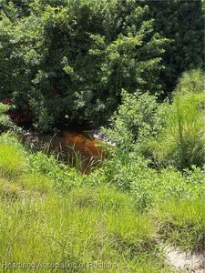 1001 Cattle Ranch Rd, Venus, FL, 33960