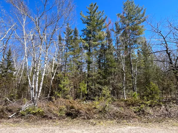 LOT 268 Pineview Dr, Presque Isle, MI 49777