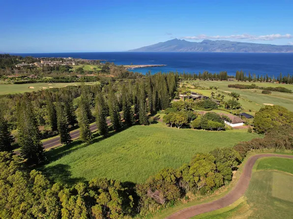 309 Plantation Estates Dr, Lahaina, HI 96761