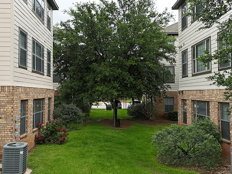 Open, Green Lawn Space