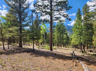 30328 National Forest Dr #23, Buena Vista, CO 81211