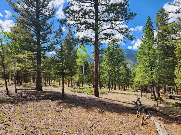 30328 National Forest Drive LOT 23, Buena Vista, CO 81211