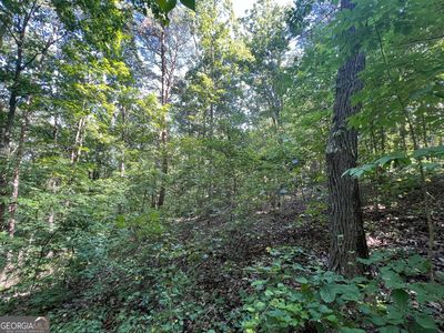 0 Nottingham Way, Fairmount, GA, 30139