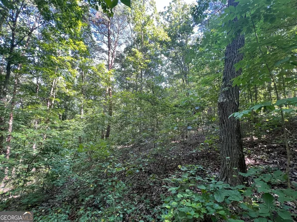 0 Nottingham Way, Fairmount, GA 30139