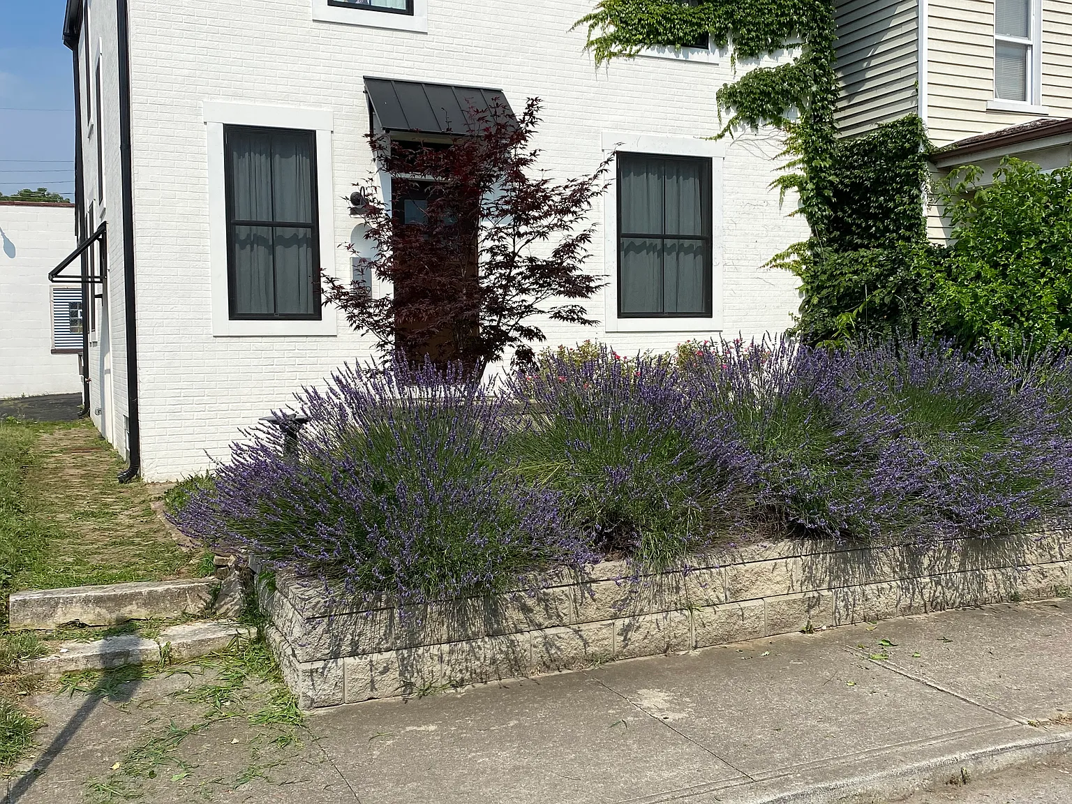 3 bed, 2200 sqft, $1,950 — Photo 2