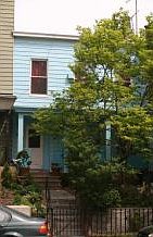 1st image of 477 Dekalb Ave