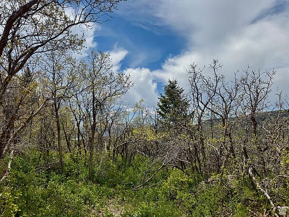 5th image of 9395 E Ridge Pine Dr