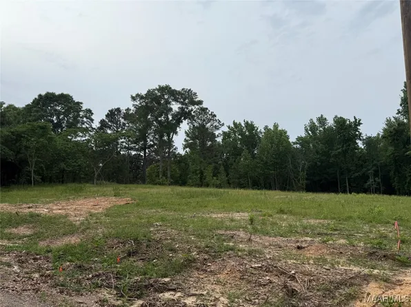 658 Nichols Ave, Eclectic, AL 36024