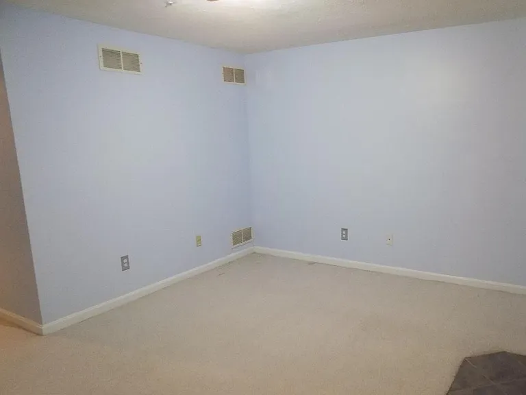 1302 Roman Ridge Way — Photo 15