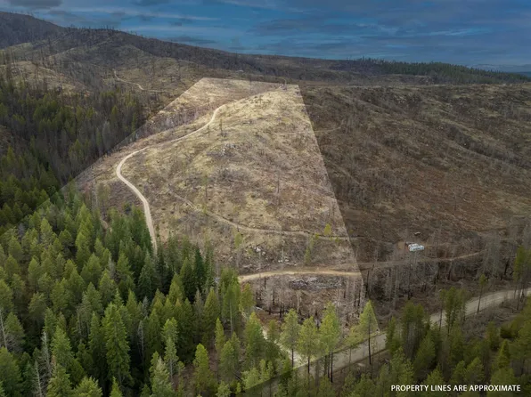 LOT 7 Rail Canyon Rd, Springdale, WA 99173