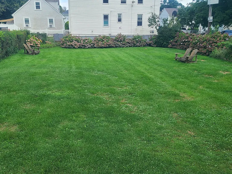 immaculate large yard filled with hydrangeas!