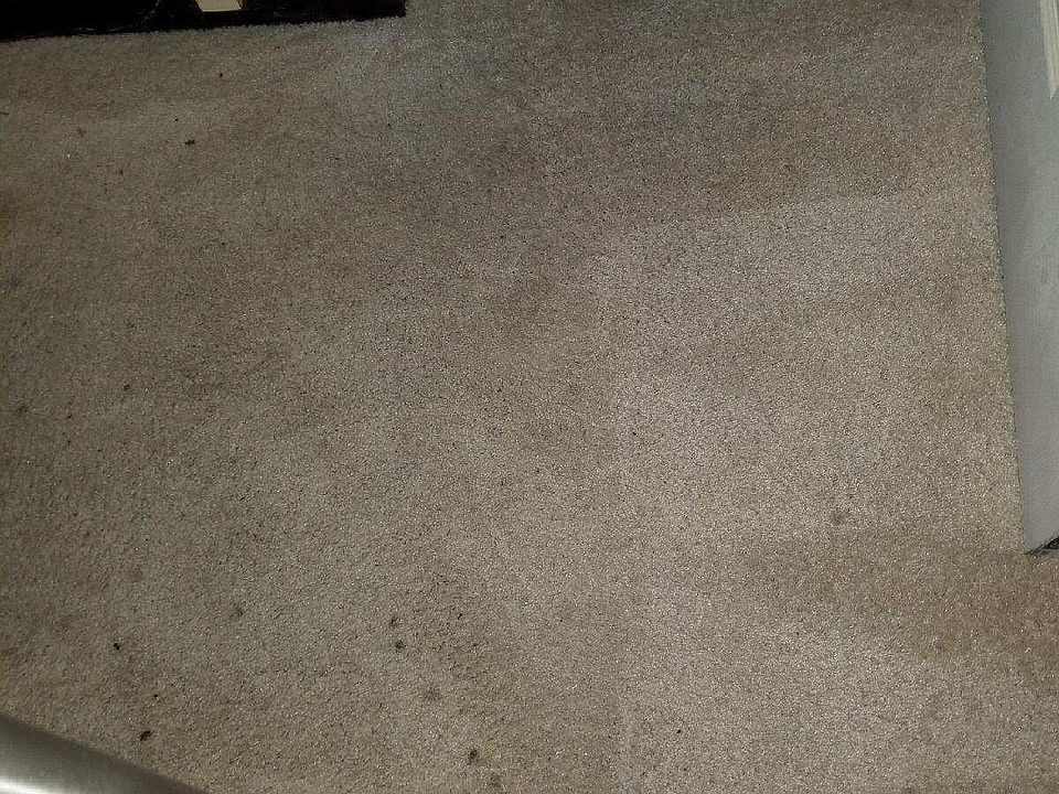 1st image of 2536 Gobel Ct APT 1
