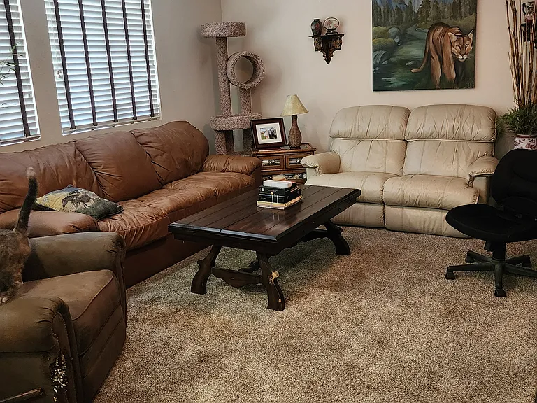 34129 Hillside Dr — Photo 6