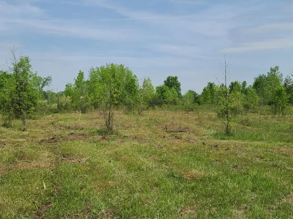 10060 Smiths Creek Rd, Goodells, MI 48027