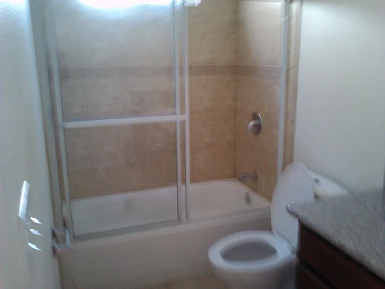 Downstairs bathroom tub & shower