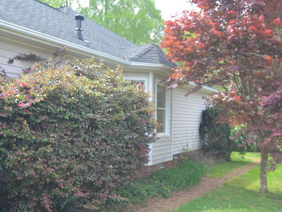 3rd image of 203 Briarwood Dr