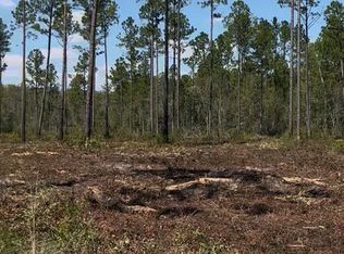 E Highway 37, Lakeland, GA 31635