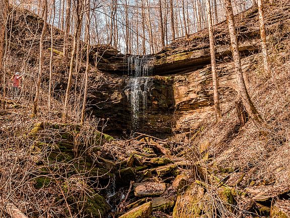 3rd image of 655 Burton Ridge Rd