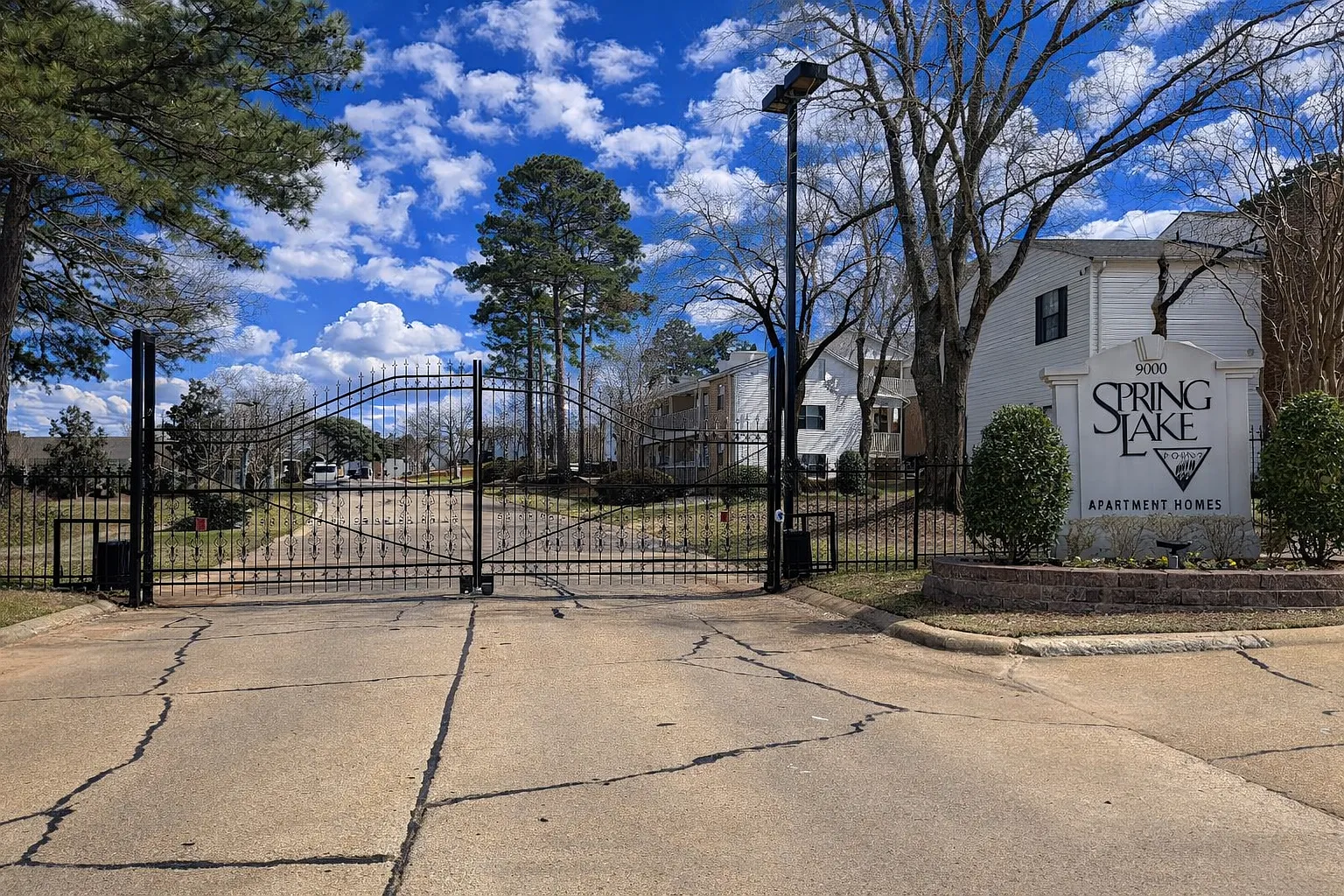 Spring Lake Point — Photo 2