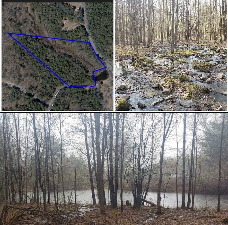 0 Quarry Rd #47, North Blenheim, NY 12131 | Zillow