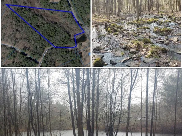 0 Quarry Rd #47, North Blenheim, NY 12131