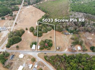 5033 Screw Pin Rd, Blenheim, SC 29516
