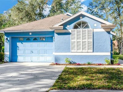 6001 Kiteridge Dr, Lithia, FL, 33547