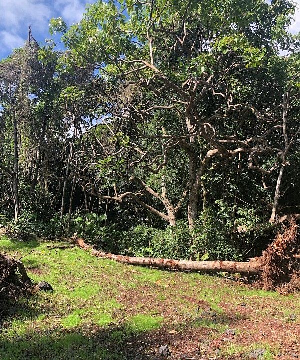 1st image of 12-141 Kipuka St Lot 61
