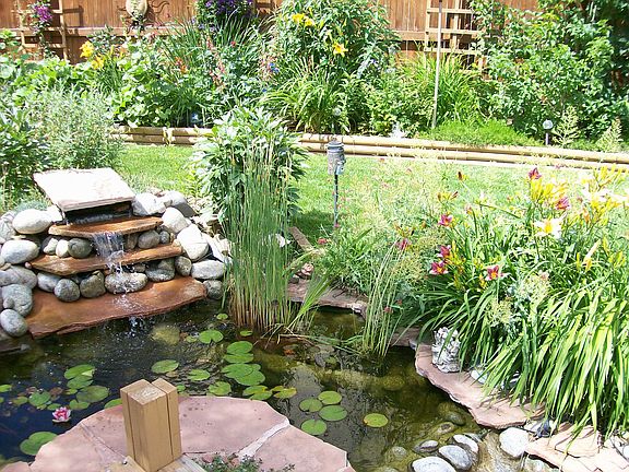 Back/Pond