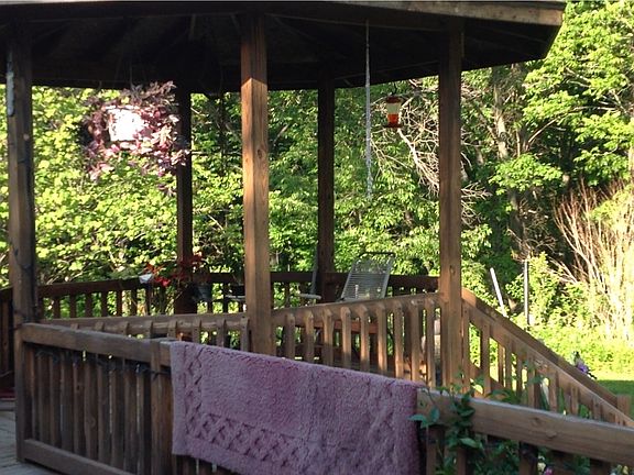 Hummingbirds come yearly