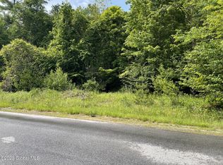 LOT 4 Schaeffer Brook Ln, Lake Luzerne, NY 12846