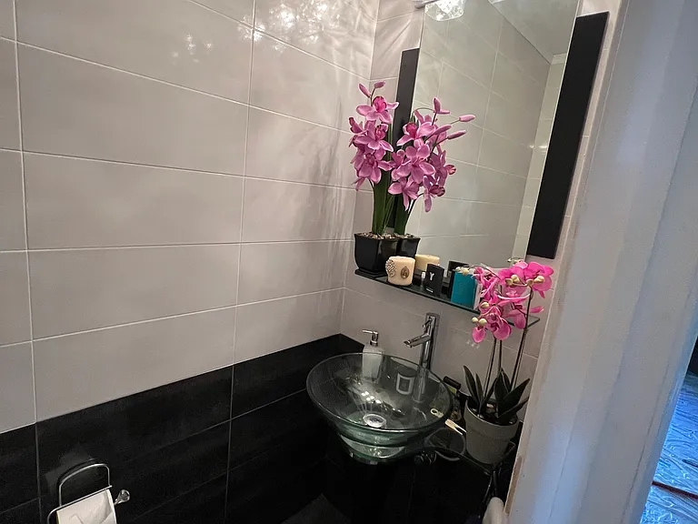 282 Plum Dr — Photo 11