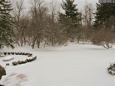 5th image of 5239 Maple Springs Dr