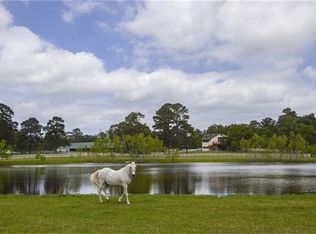 19371 W Fm 1097 Rd, Montgomery, TX 77356