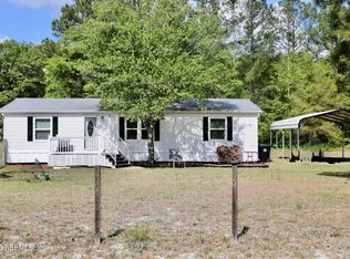 4710 CATTAIL Street, Middleburg, FL 32068