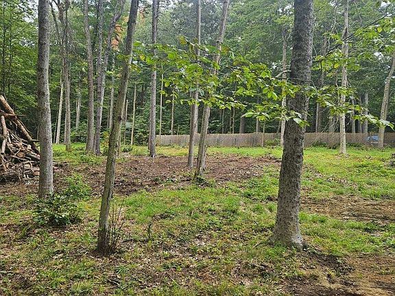 5th image of 8 Deer Run Path