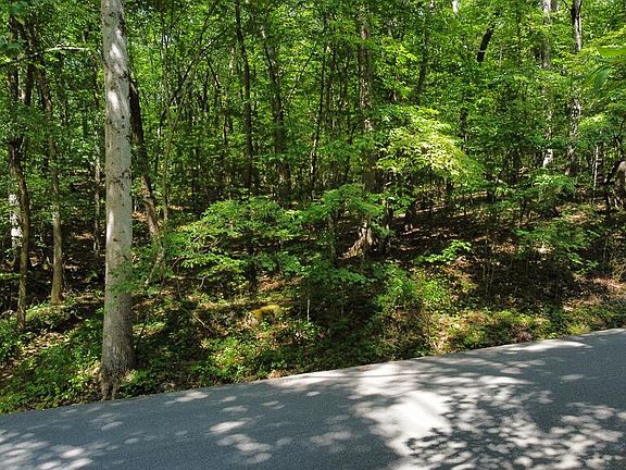 17th image of 159-161 Sugarbush Cir