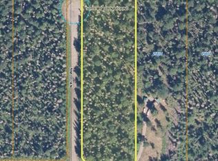 L1-B2 W Sheep Creek Dr, Willow, AK 99688