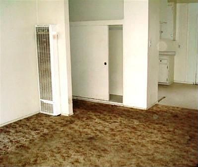 Living Room/ Hall 