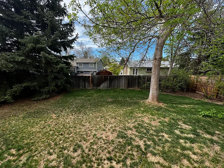 2336 Arctic Fox Dr — Photo 28