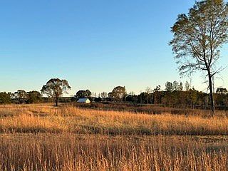 5th image of 447 County Road 215