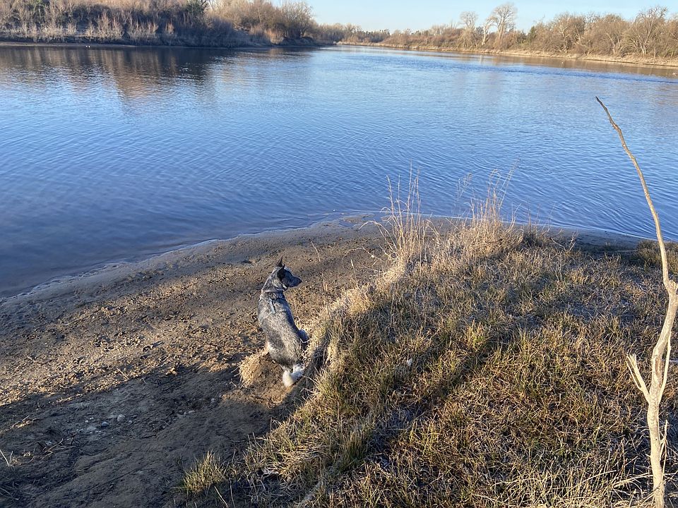 River Park Vista Apartments is located only 2 blocks from the American River Trail! Glen Park and Paradise Beach.