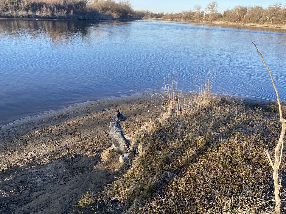 River Park Vista Apartments is located only 2 blocks from the American River Trail! Glen Park and Paradise Beach.