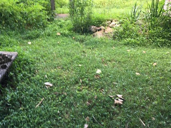 5th image of 8219 Thorn Grove Pike
