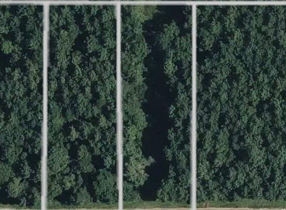 5th image of 15310 Thistle Down Rd