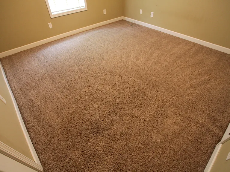 4020 Beth Anne Pl — Photo 13