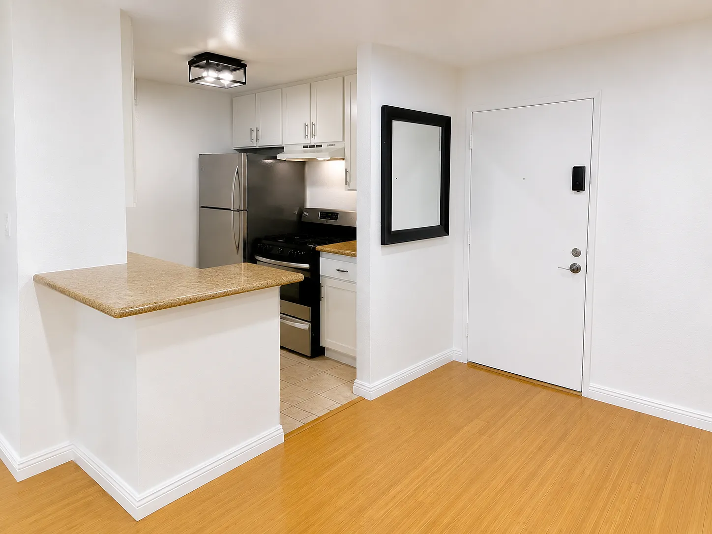 1 bed, 650 sqft, $2,000 — Photo 3
