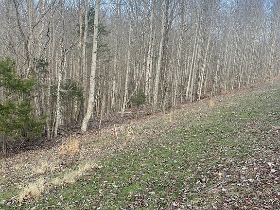 3rd image of 0 Sugar Tree Knob Rd Lot 1